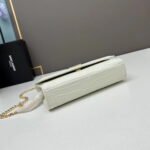 YSL Kat crocodile chain strap shoulder bag with gold hardware 7219 white size: 20*14*5cm/24*15*6cm - Image 6
