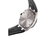 AP Panda - Image 4