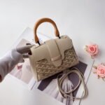 Goyard mini Saigon Cream White Saddle bag Size:22*8*15cm - Image 2