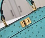 FENDI Peekaboo Light Green 23ss 335 Size: 20*15cm - Image 8