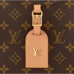 Louis Vuitton / LV Odéon MM M45355 - Image 7