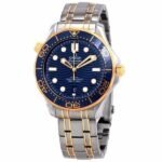 Omega Master Gold - Image 2